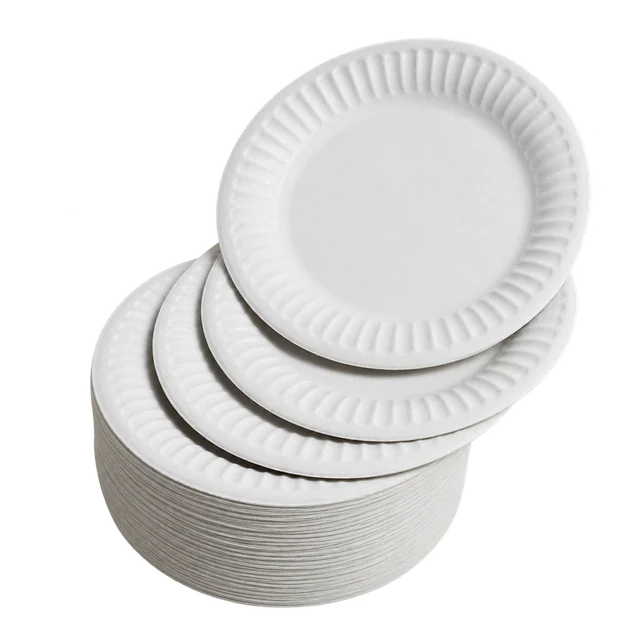Paper Plate