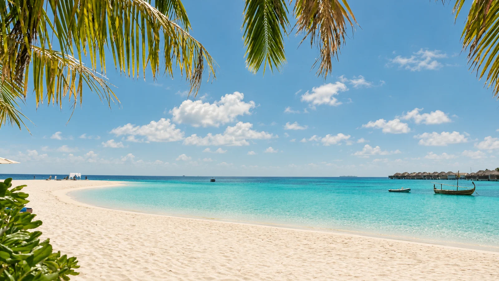 Palm trees and clear lagoon along a Maldivian beach