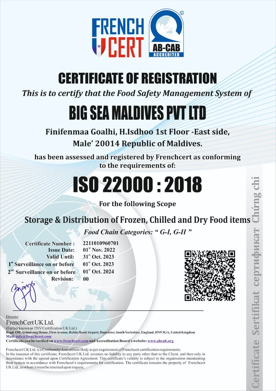 ISO Certification 2024
